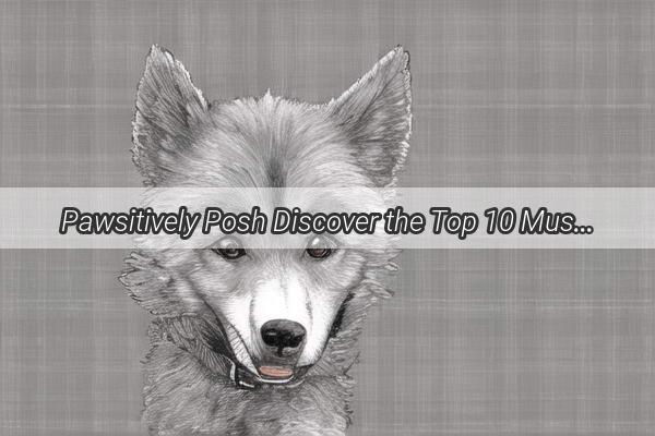 Pawsitively Posh Discover the Top 10 MustFollow Doggy TikTok Superstars